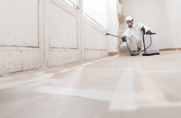 24/7 Emergency Attic Mold Removal experts in Grand Haven, MI