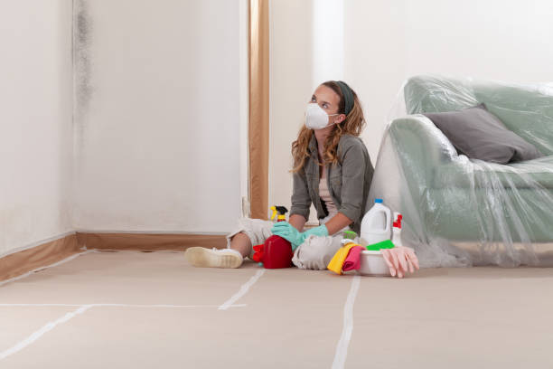 Reliable Attic Mold Removal contractor in Grand Haven, MI by WQB Mold Removal
